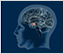 Neuroscience-Blog-icon