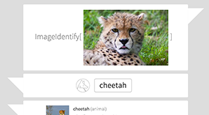 Wolfram Language Artificial Intelligence: The Image Identification Project