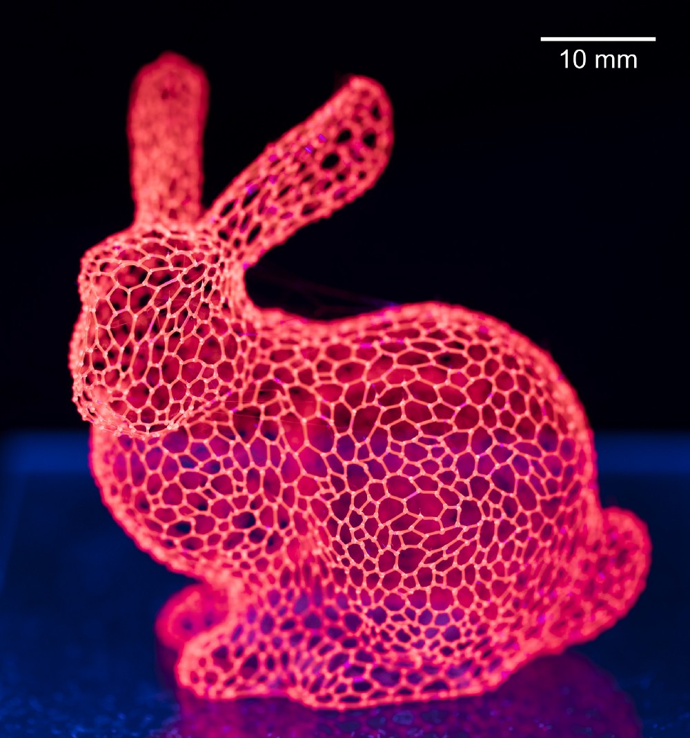 bunny